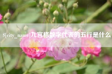 淮安九宫格数字代表的五行是什么