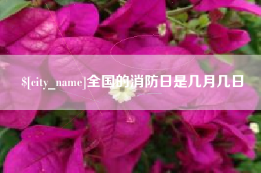 淮安全国的消防日是几月几日