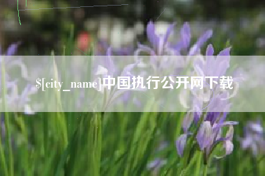 淮安中国执行公开网下载