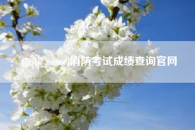 淮安消防考试成绩查询官网