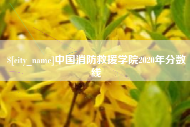 淮安中国消防救援学院2020年分数线