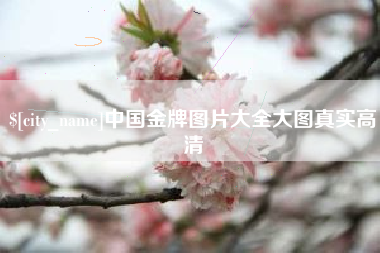 淮安中国金牌图片大全大图真实高清