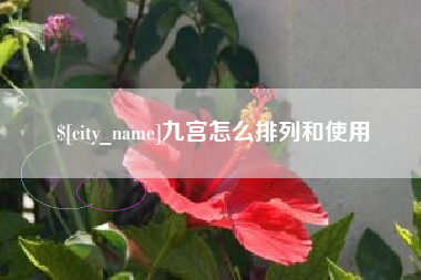 淮安九宫怎么排列和使用