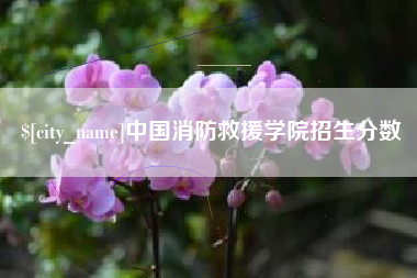 淮安中国消防救援学院招生分数