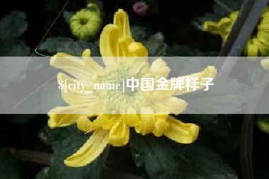淮安中国金牌样子