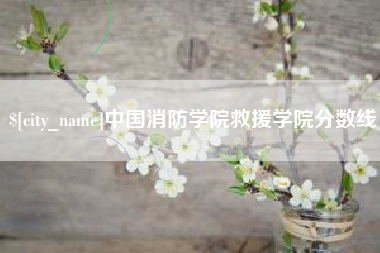 淮安中国消防学院救援学院分数线