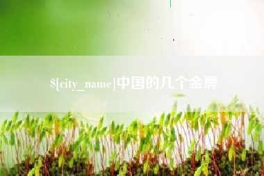 淮安中国的几个金牌