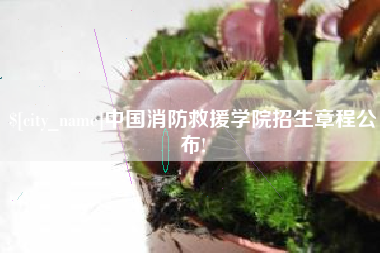 淮安中国消防救援学院招生章程公布!
