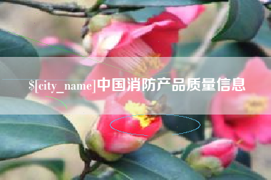 淮安中国消防产品质量信息