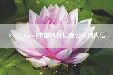 淮安中国执行信息公开网失信