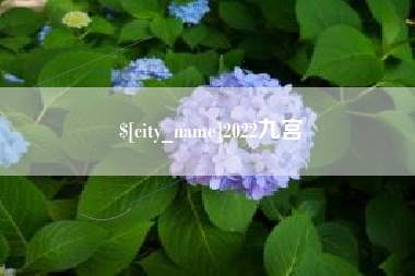淮安2022九宫
