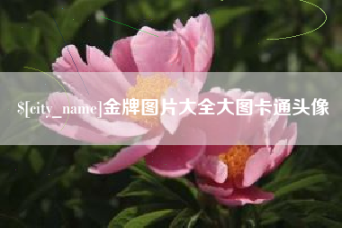 淮安金牌图片大全大图卡通头像