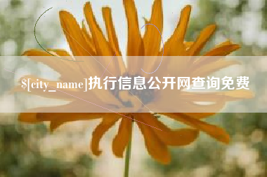 淮安执行信息公开网查询免费