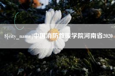 淮安中国消防救援学院河南省2020